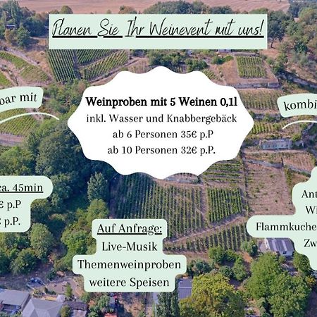 Ferienhaus Traminer Im Weinberg Фрейбург Экстерьер фото