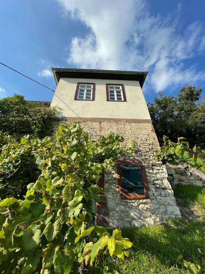 Ferienhaus Traminer Im Weinberg Фрейбург Экстерьер фото
