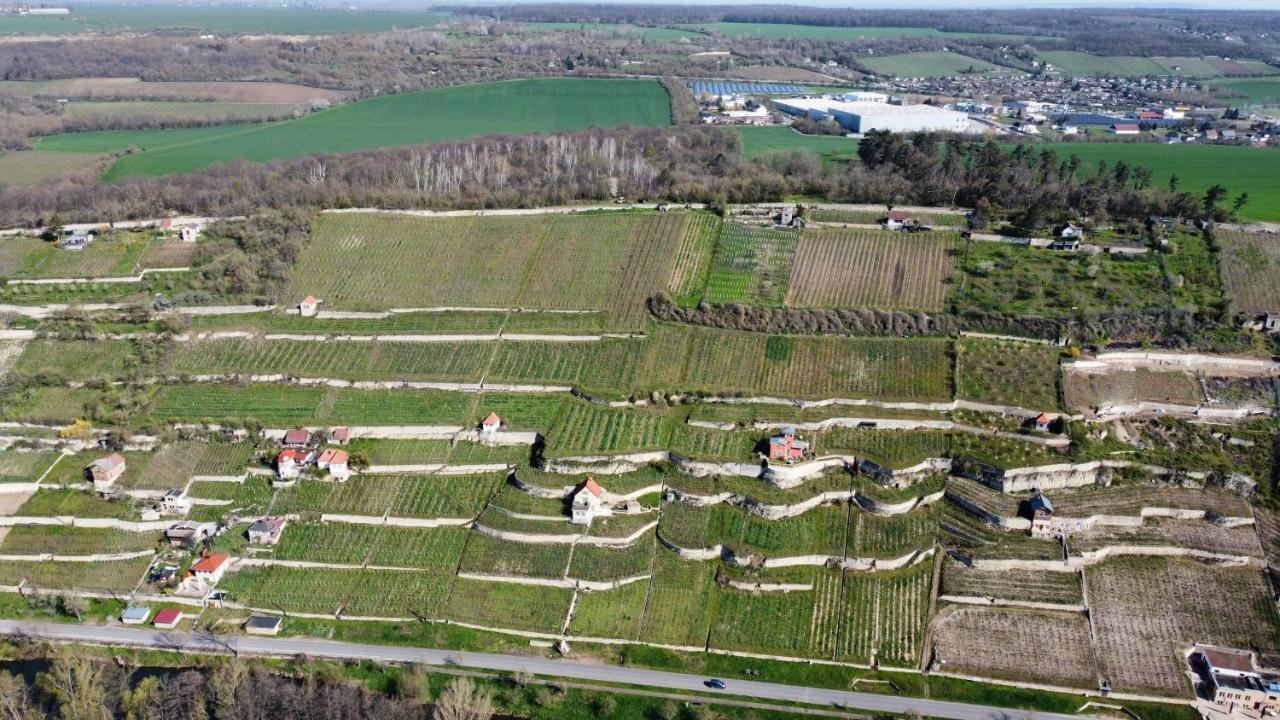 Ferienhaus Traminer Im Weinberg Фрейбург Экстерьер фото