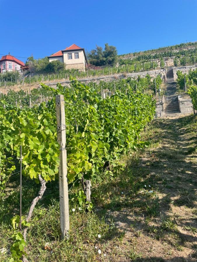 Ferienhaus Traminer Im Weinberg Фрейбург Экстерьер фото