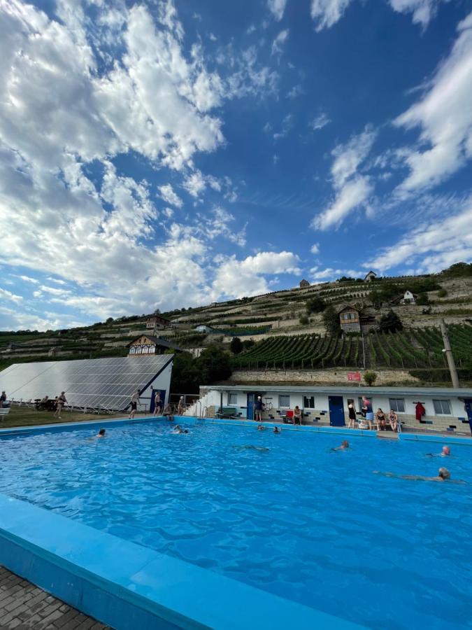 Ferienhaus Traminer Im Weinberg Фрейбург Экстерьер фото